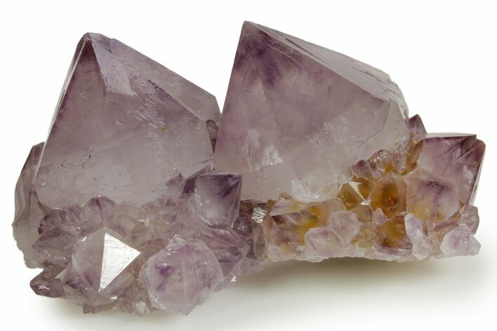 Deep-Purple Cactus Amethyst Crystal Cluster - South Africa #364617